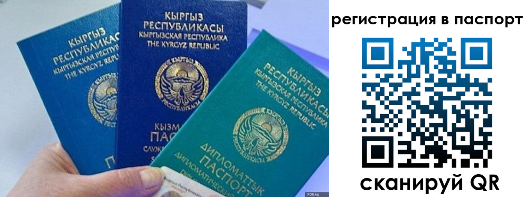 прописка 2025 в Новосибирске